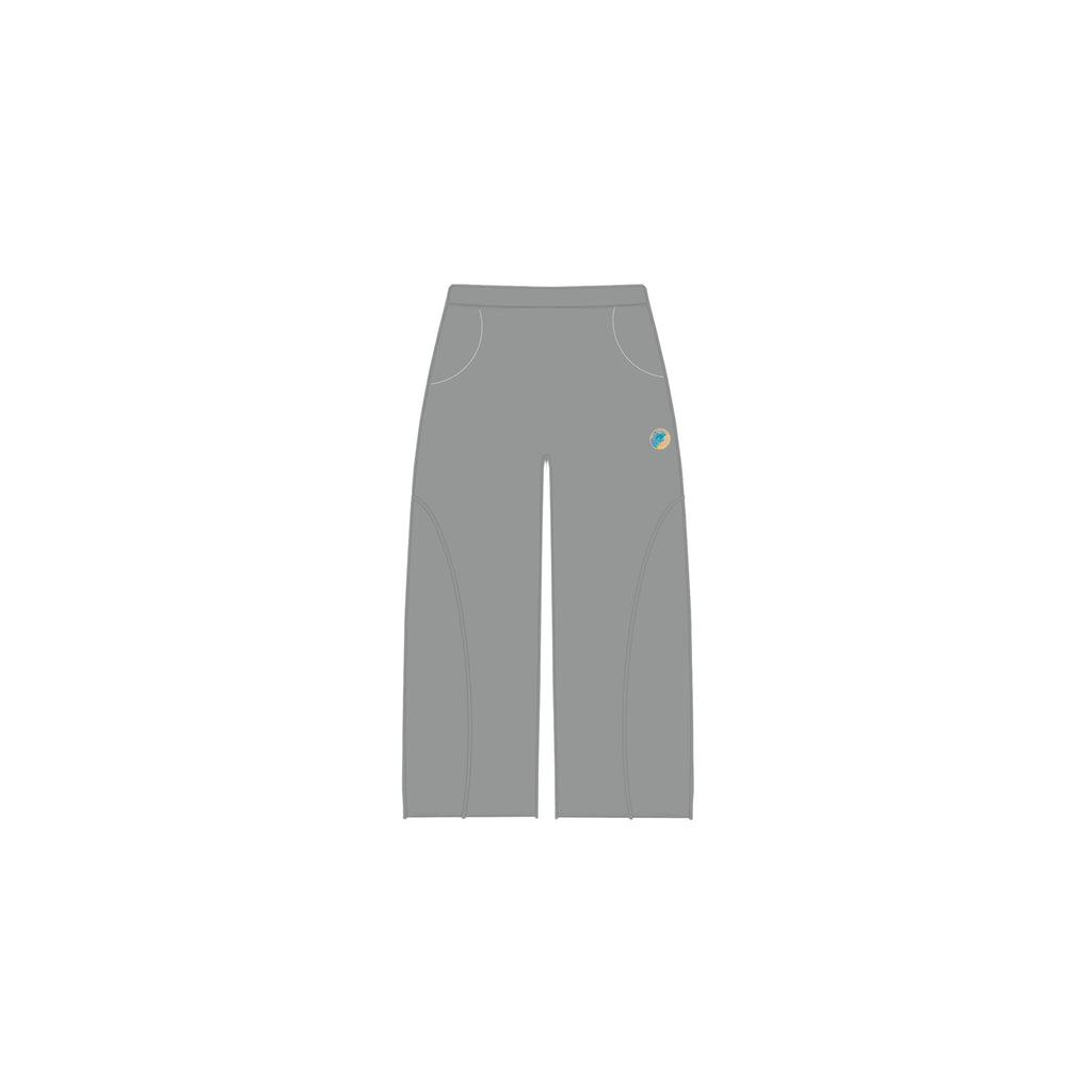 Reflective grey sweatpants